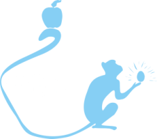 Appeltje Eitje